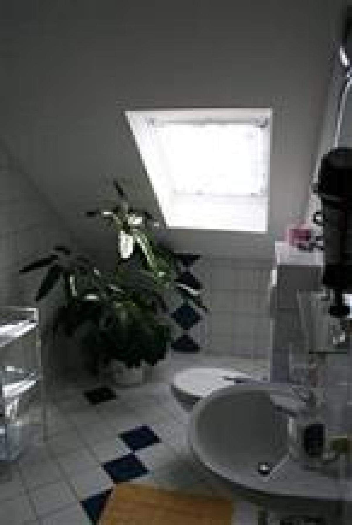 Affittuario privato Affittuario privato