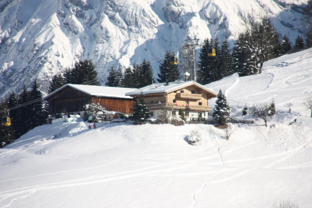 Bauernhof 3