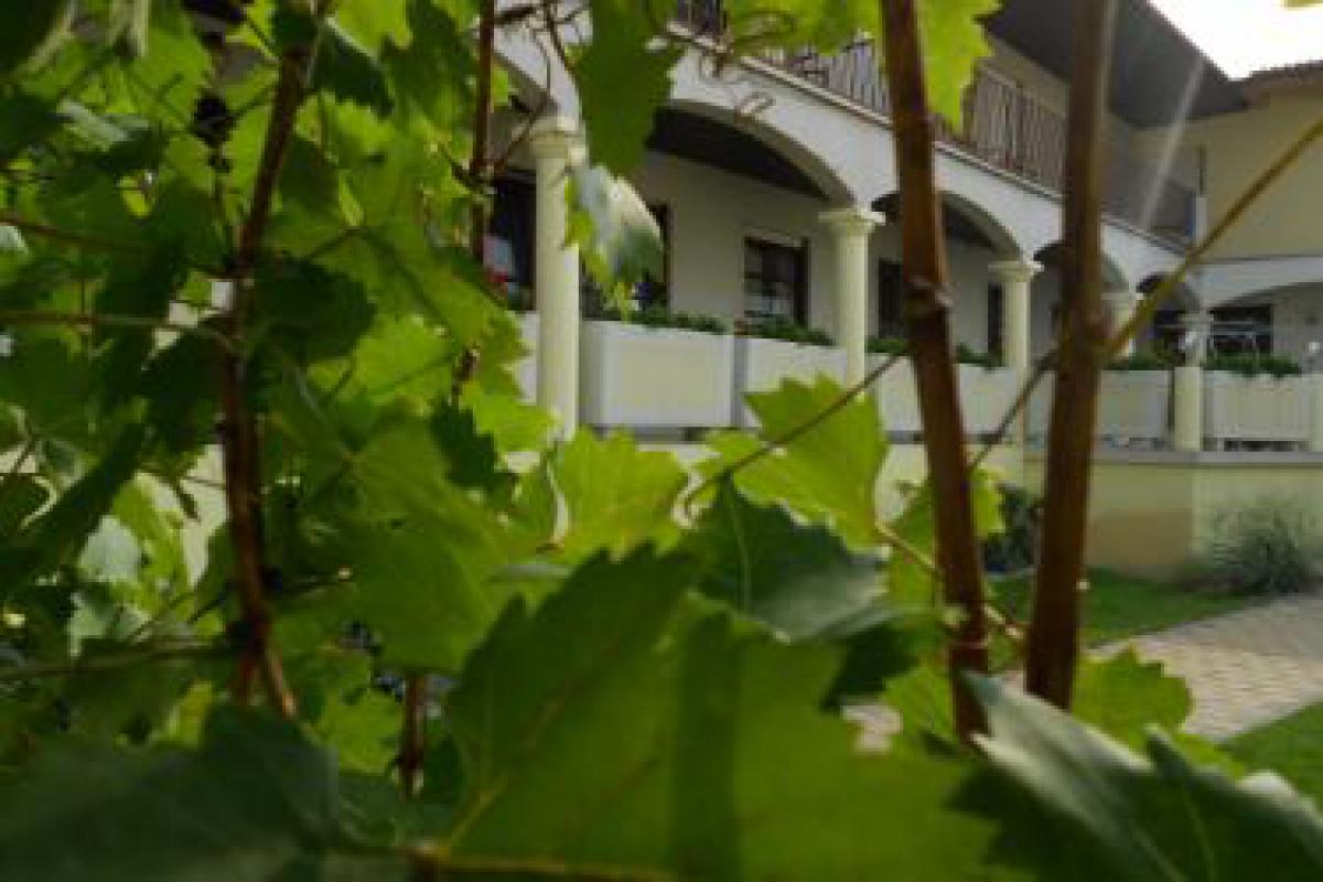 Privatvermieter Neusiedl a. See