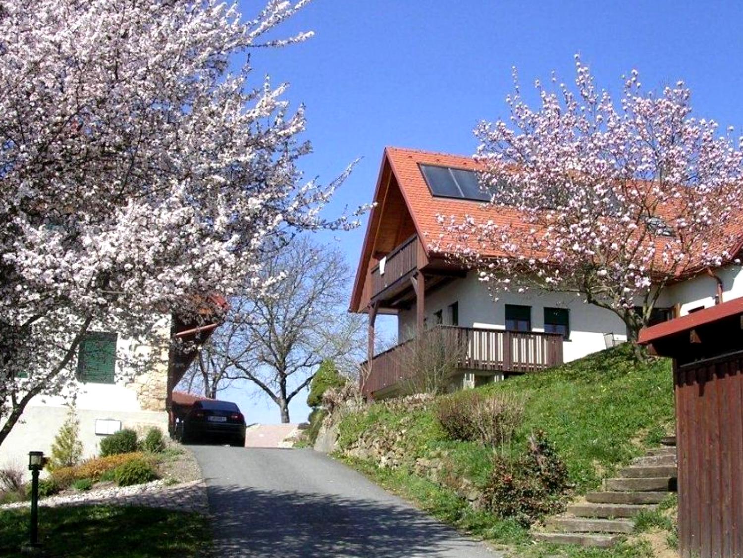 Hotel 3