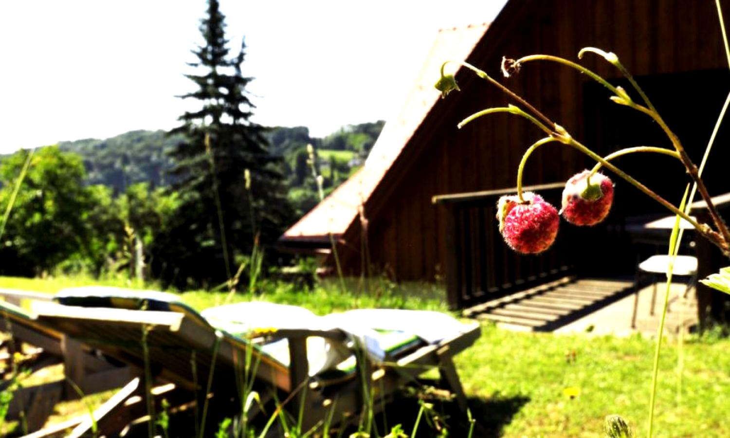 Hotel Tanzabende