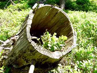 Privatvermieter Tirol