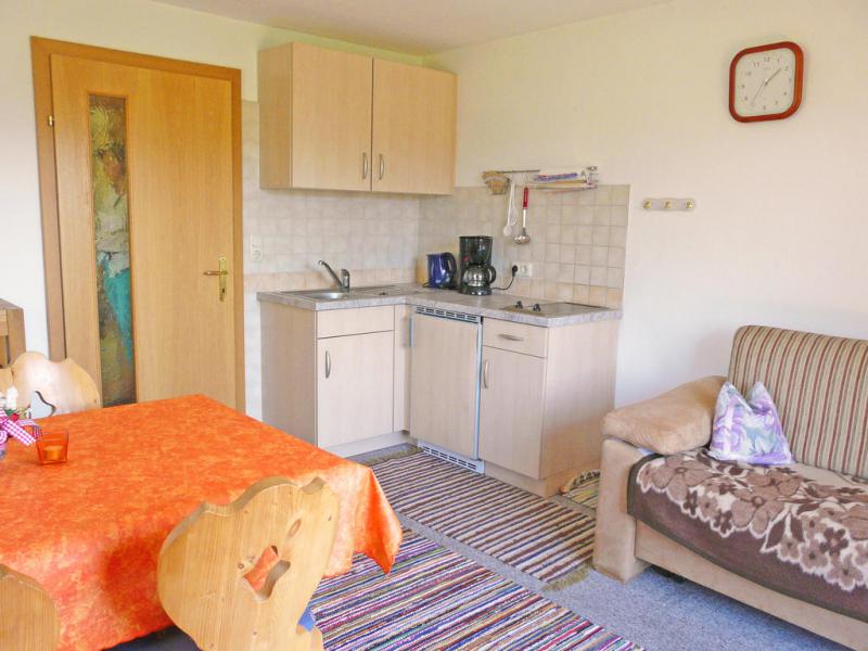 Appartement Ferienwohnung Kitzbühel