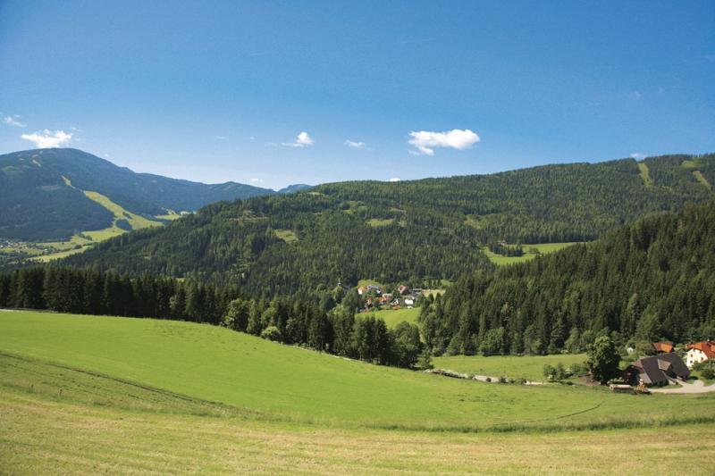 Privatvermieter Bergführer