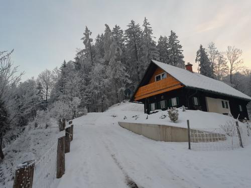 Ferienhaus Ferienchalet Österreich