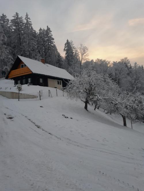 Ferienhaus Ferienchalet 3