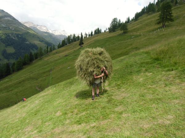 Bauernhof Wellness-Bereich