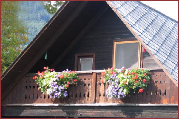 Appartement Ferienwohnung Hallenbad