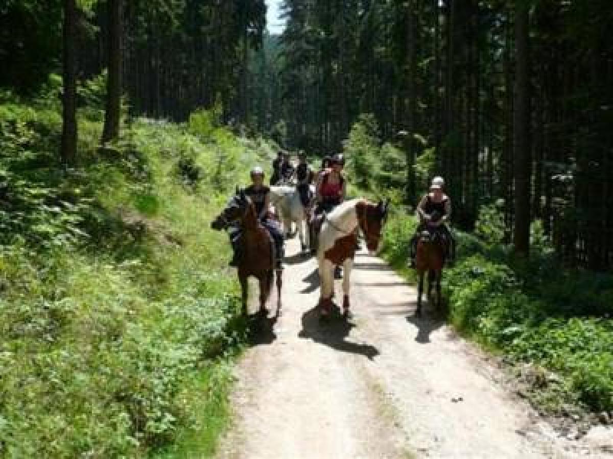 Gasthof / Restaurant Steiermark
