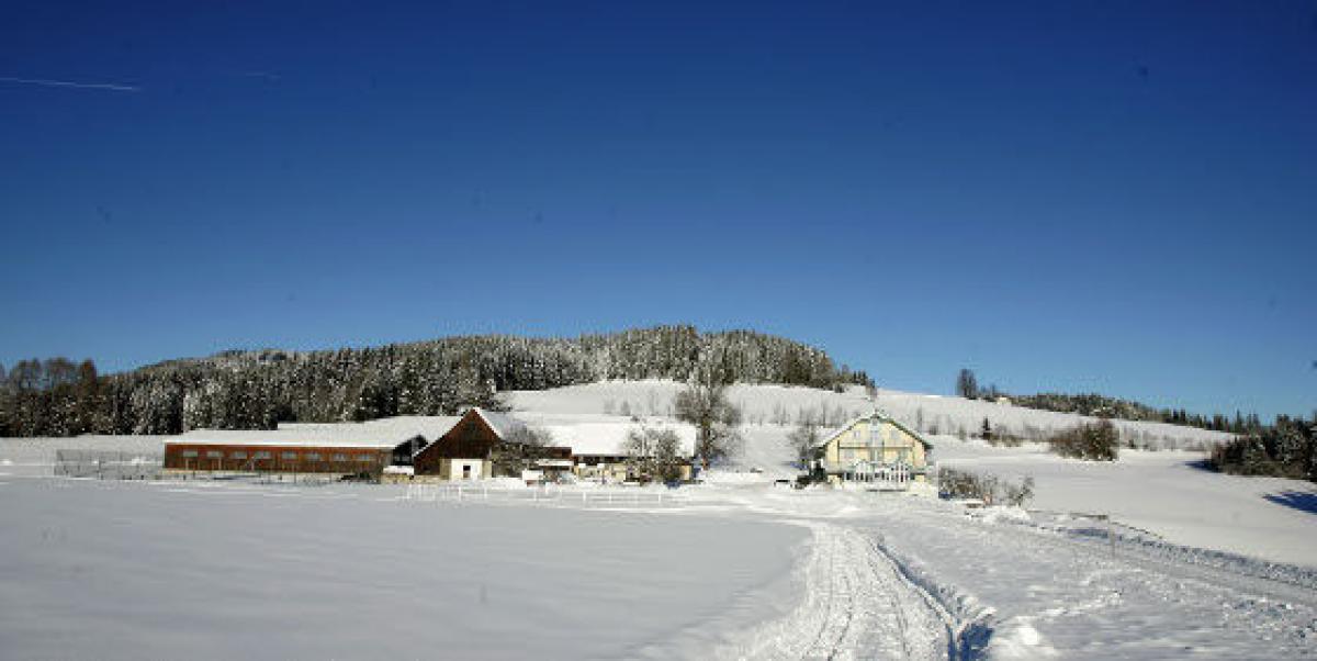 Gasthof / Restaurant Schilehrer