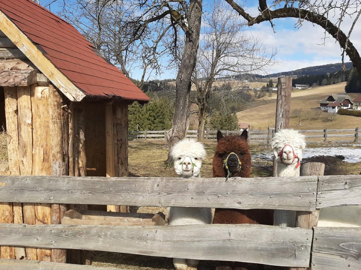 Bauernhof Beautyfarm