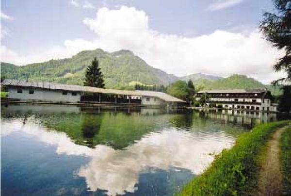 Gasthof / Restaurant Schwimmbad