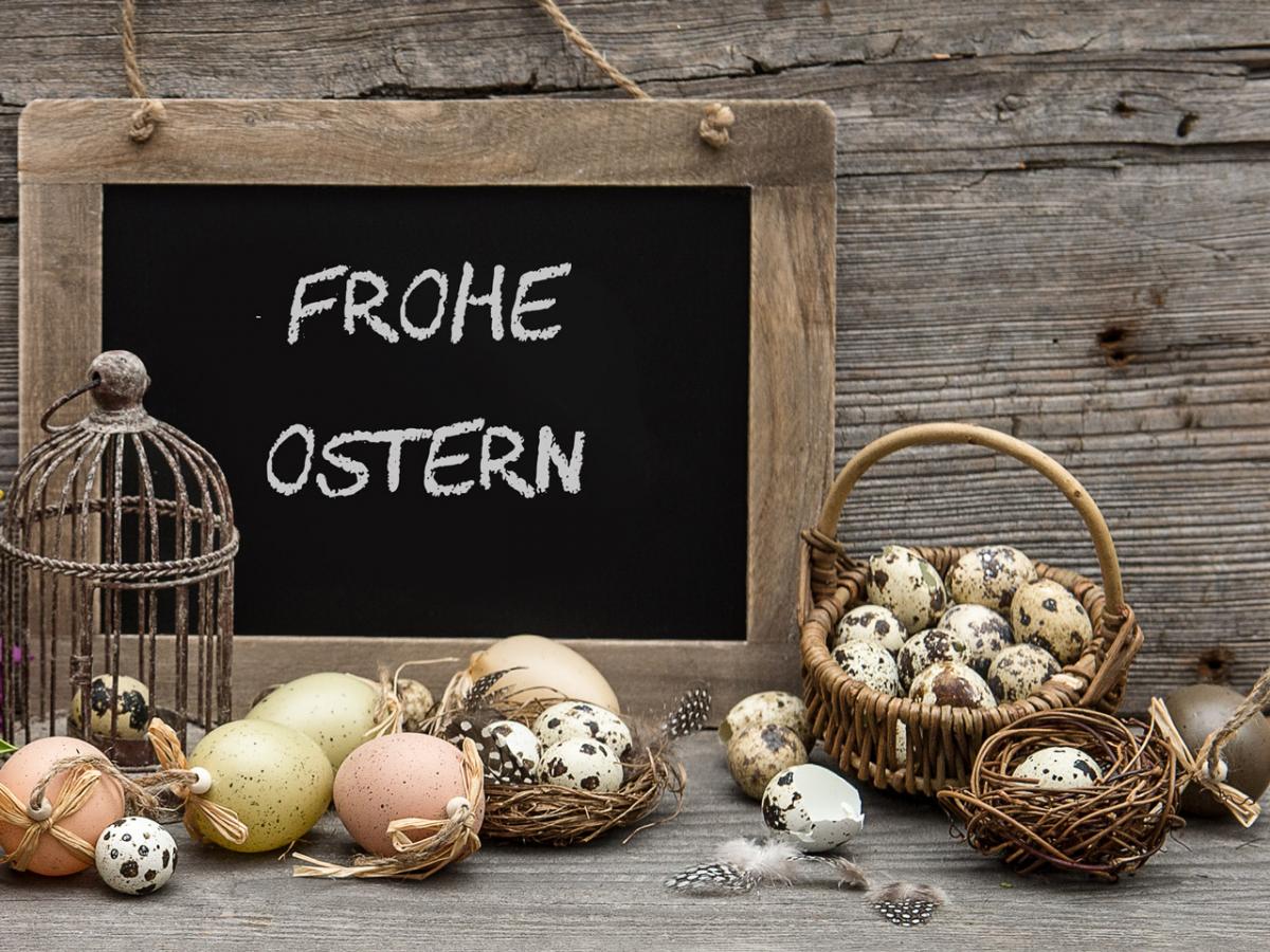 Hotel Steiermark