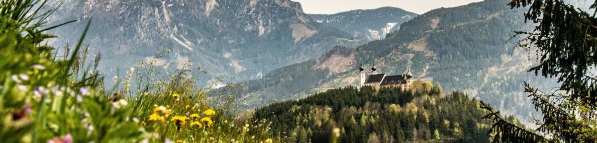 Hotel Österreich