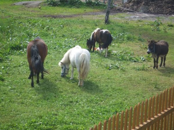 Agroturizam Wellness