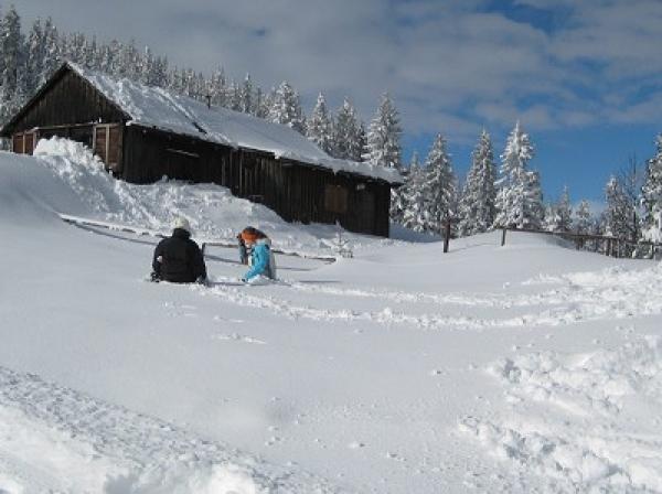 Almhütte Berghütte Beautyfarm