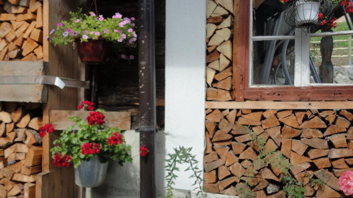 Appartement Ferienwohnung Tirol