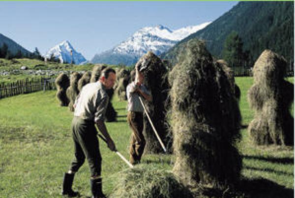 Appartamento vacanze Tirol