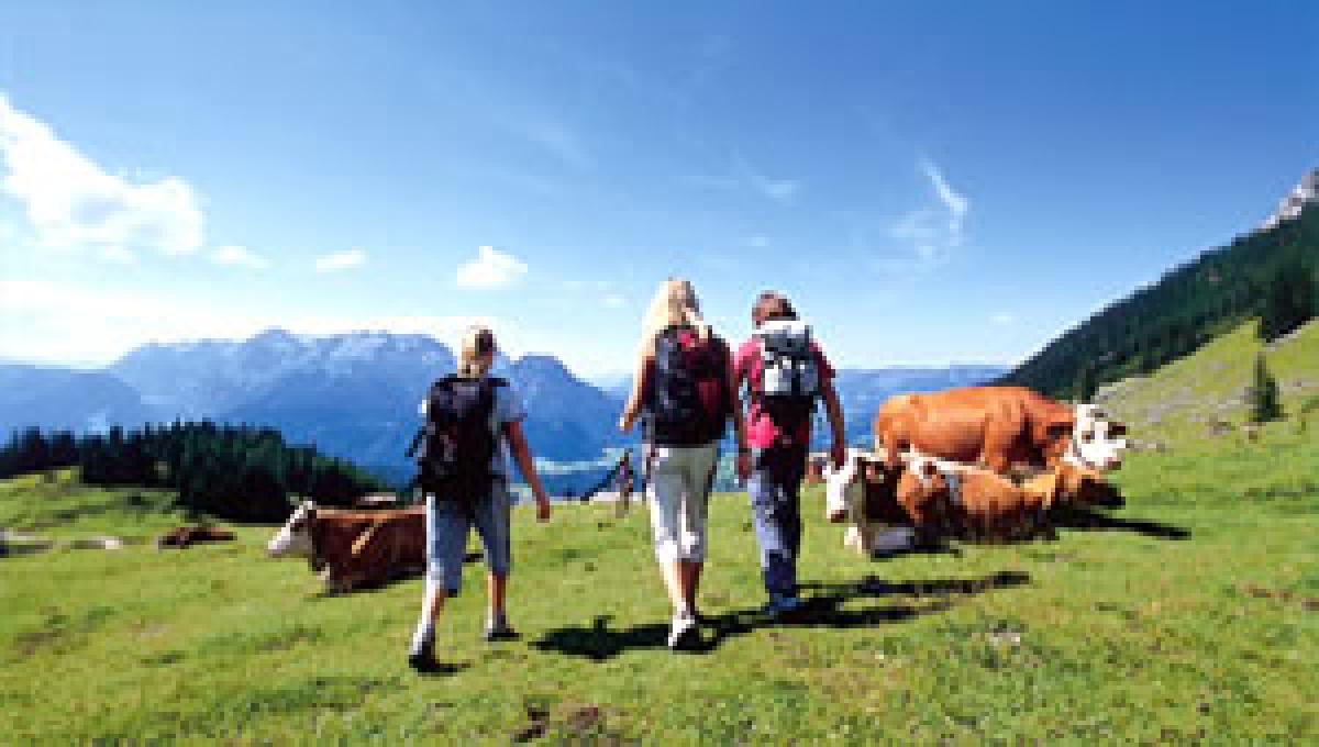 Appartement Ferienwohnung Wellness-Bereich
