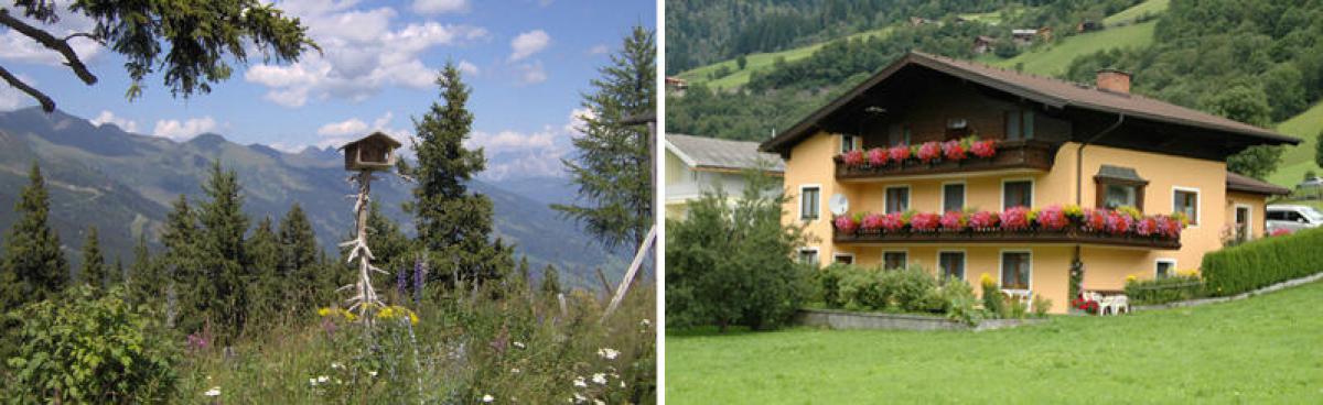Appartement Ferienwohnung Bergführer