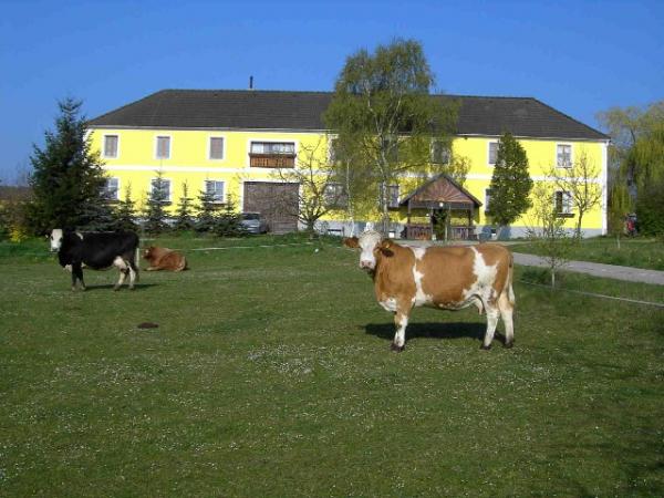 Bauernhof 3